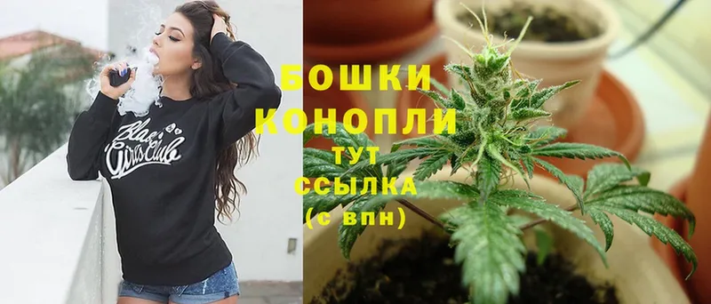 Конопля OG Kush  магазин    Артёмовск 